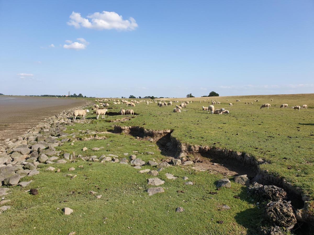 Johannes Hof Bunde  Luaran gambar